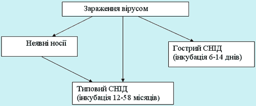 Схема 1. Періоди інкубації СНІДу